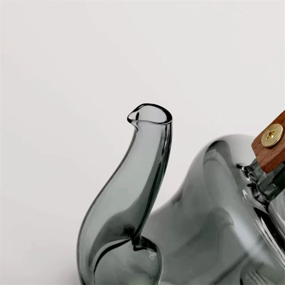 Théière en verre borosilicate poignée bois infuseur