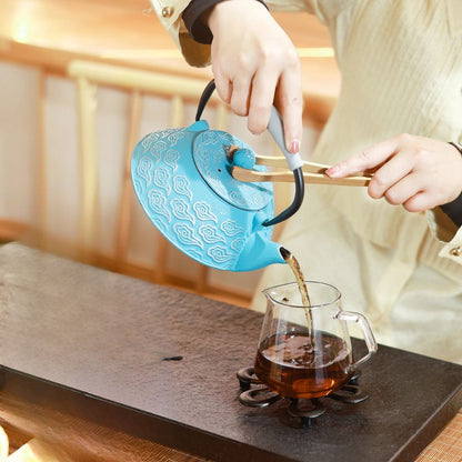 Théière en fonte japonaise émaillée motif nuage