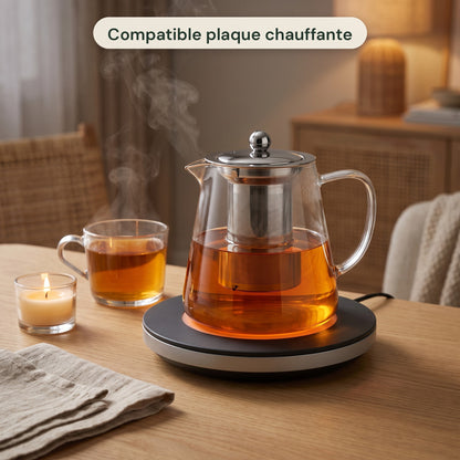 Théière en verre borosilicate avec filtre inox intégré