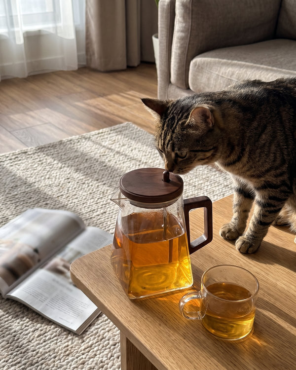 La théière flottante : avec le chat